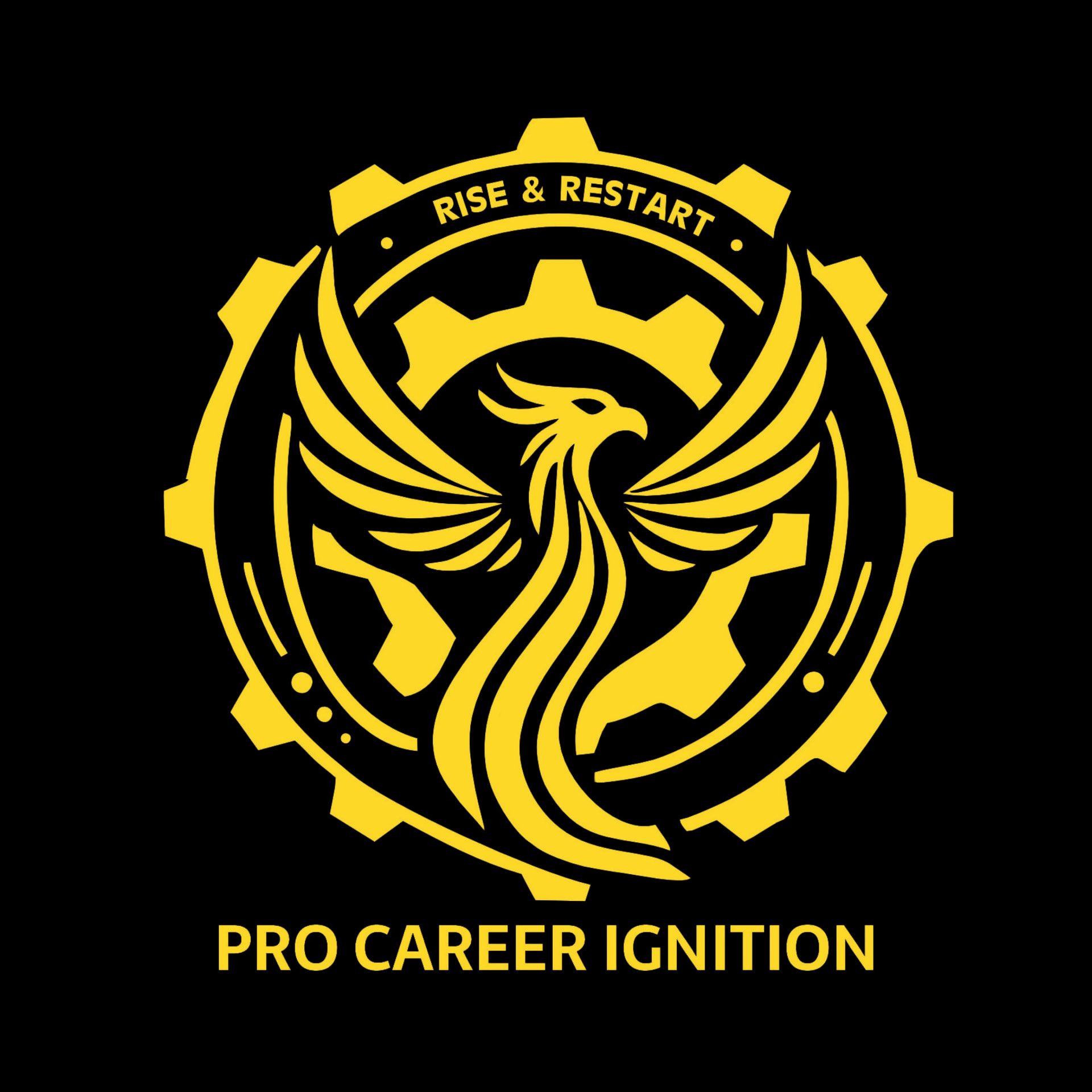Pro Career Ignition